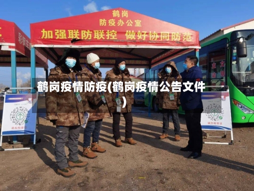 鹤岗疫情防疫(鹤岗疫情公告文件)-第2张图片