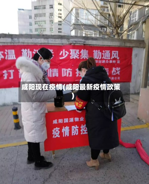 咸阳现在疫情(咸阳最新疫情政策)-第2张图片