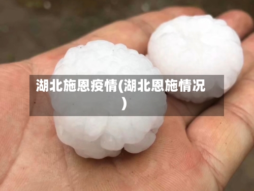 湖北施恩疫情(湖北恩施情况)-第3张图片