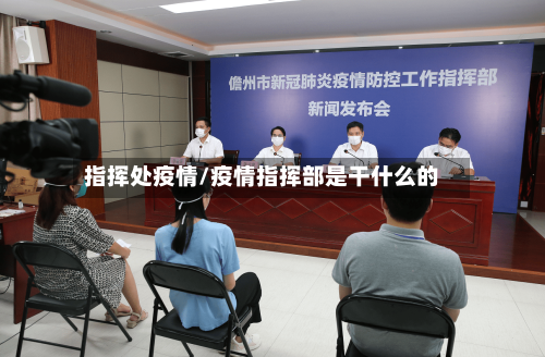 指挥处疫情/疫情指挥部是干什么的