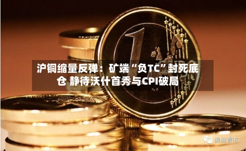沪铜缩量反弹：矿端“负TC	”封死底仓 静待沃什首秀与CPI破局-第2张图片
