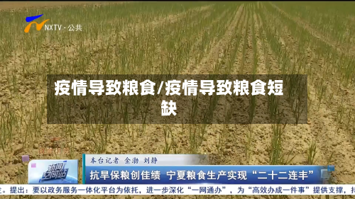 疫情导致粮食/疫情导致粮食短缺-第2张图片
