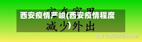 西安疫情严峻(西安疫情程度)