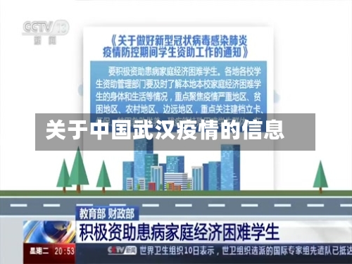 关于中国武汉疫情的信息-第3张图片