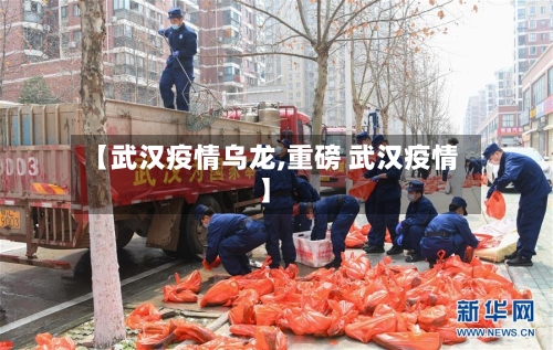 【武汉疫情乌龙,重磅 武汉疫情】-第2张图片